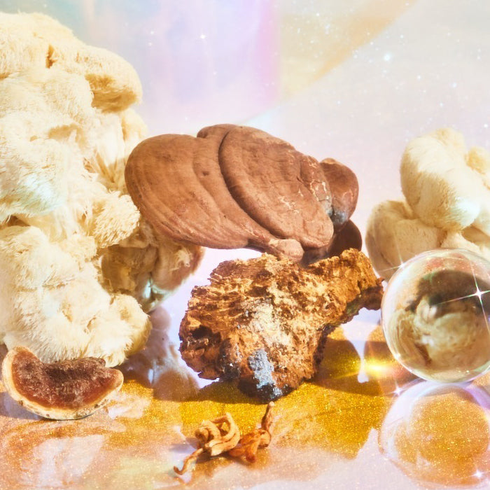 Adaptogen Mushrooms